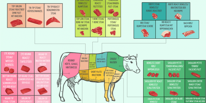Teilstücke vom Rind ⇒ Infografik!