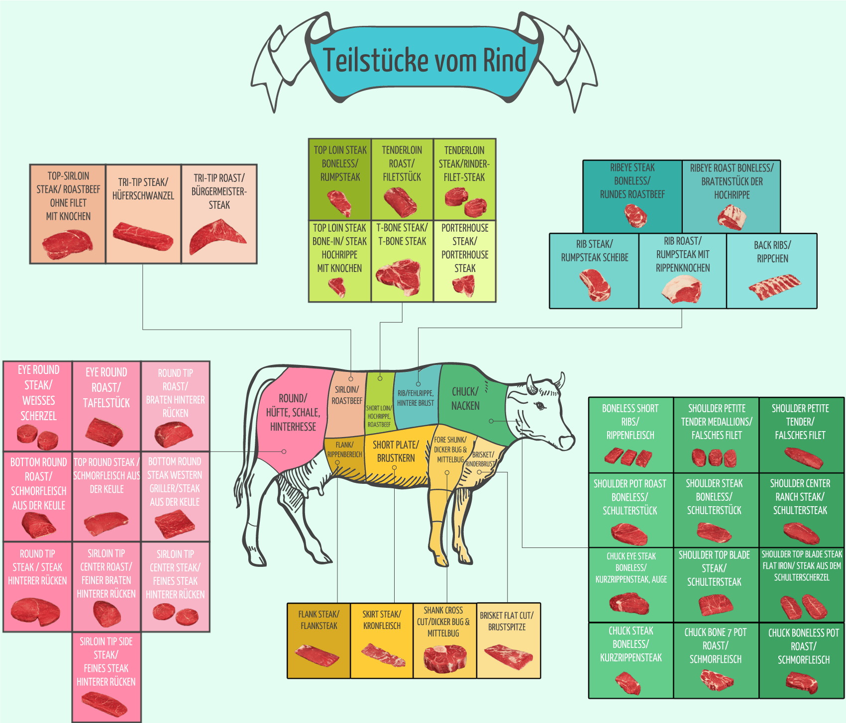 Teilstücke vom Rind - Infografik